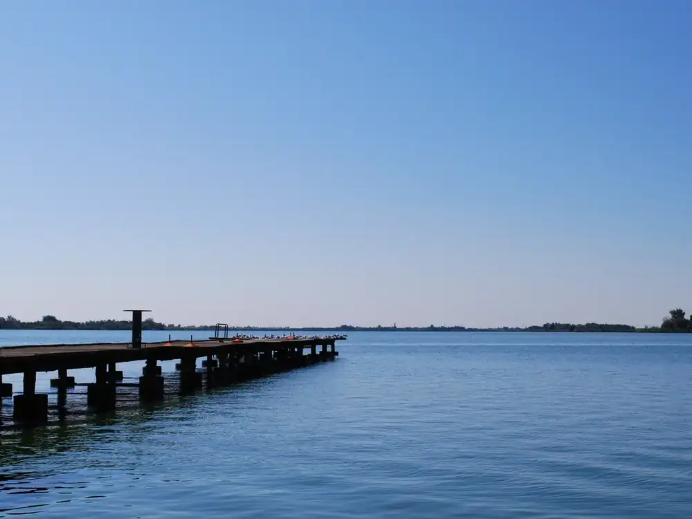 Palić