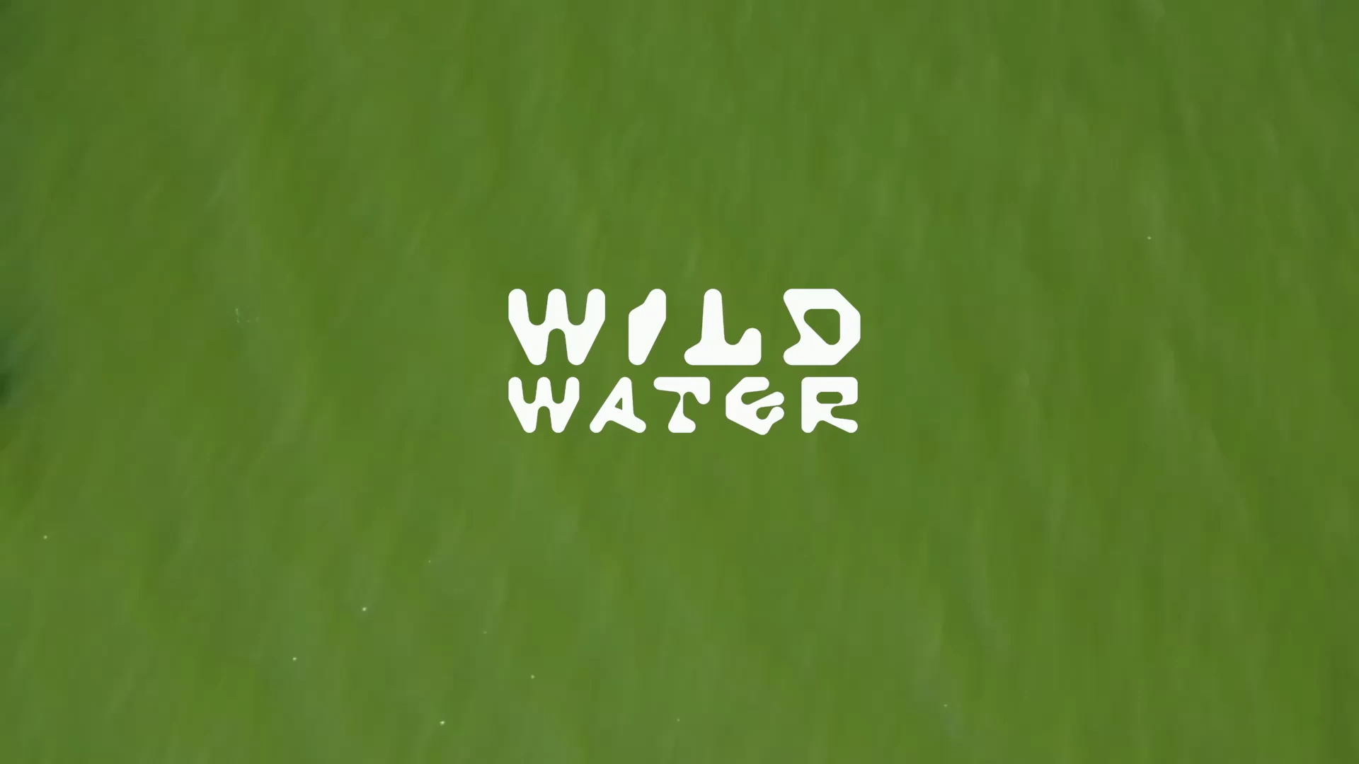 Wild Water logo iznad vode i vozač na električnoj dasci